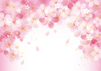 咲くふわふ 桜 二