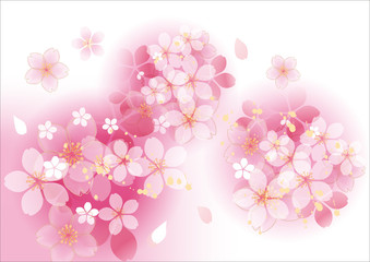 咲くふわふ 桜 丸