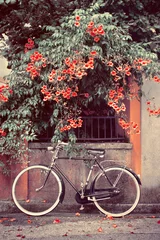 Zelfklevend Fotobehang bicycle with red flowers in the background, a bike leans against the wall picture vintage effect © missizio01