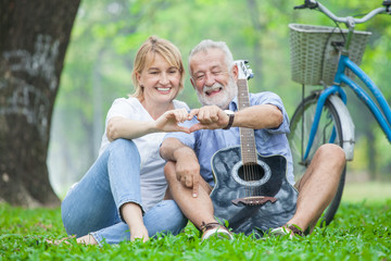 Portrait of happy love romantic senior couple making heart shape with hands outdoor at the green...