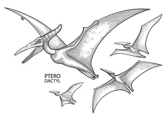 Realistic graphic dinosaurs © Ekaterina Glazkova