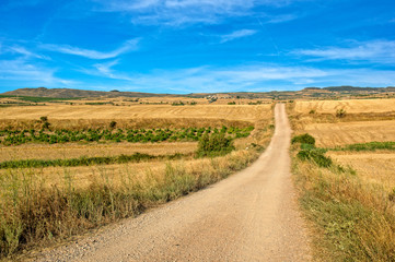 Fototapeta na wymiar The road to Santiago through Navarra with blue sky