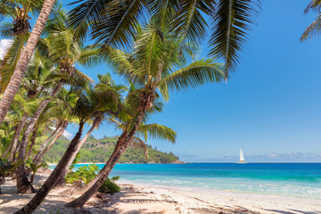 Fototapeta na wymiar Sandy beach with palm trees and a white sailing yacht in the turquoise sea on Paradise island.