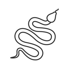 Snake linear icon