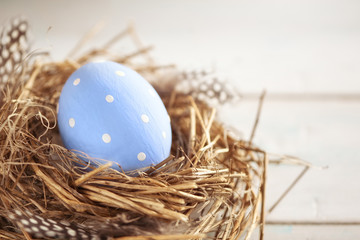 Fototapeta na wymiar Rustic Blue Egg in the Hay Nest on the Wooden Background