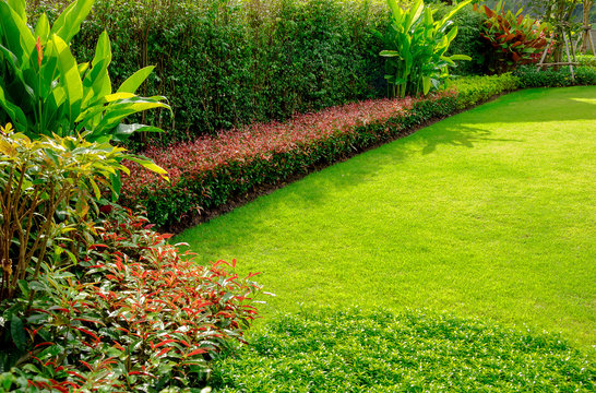 Landscape formal, Front yard is beautifully designed garden, Garden design and lawn for background