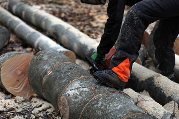 Holzfäller sägt Kaminholz und Brennholz