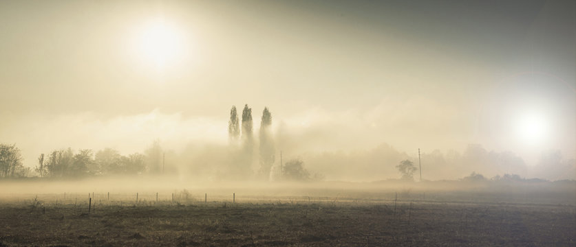 la nebbia in campagna al mattino in inverno