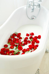 Picture of many red roses in bathroom filled with milk. Healthcare and spa concept.