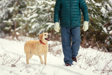 Man with dog walking on snowy pine forest in winter