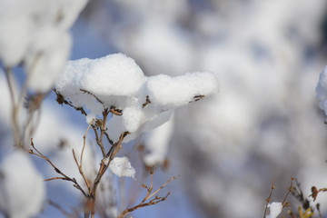 schneehaube3