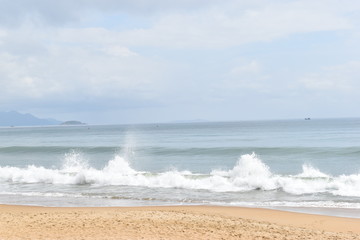 Water, nature, palm, palms, tree, trees, Mekong, delta, green, brown, sky, blue, wild, rural, panorama, boat, trip, travel, tour, holidays, vacation, sun, summer, Vietnamese, asia, Asian, thai, Thaila