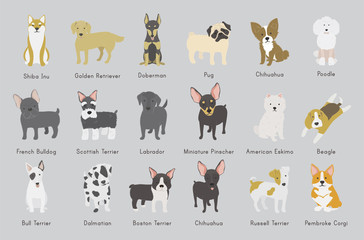 Illustration of dogs collection © Rawpixel.com
