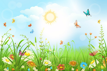 Fototapeta premium Summer or spring meadow with green grass, flowers and butterflies scenery