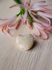 herz aus stein un frühlingsblumen