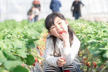 笑顔でいちごを食べる女の子
