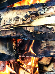 Bonfire made of birch firewood