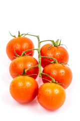Tomato on white