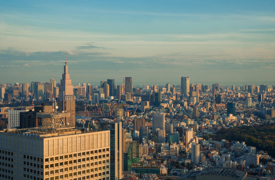 Tokyo panorama sunset with haze from Shinjuku skyscraper © crisfotolux