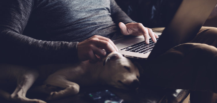 Transform Your Dog's Tale into a Blogging Powerhouse" - Tips for Including Your Dog in the Blog