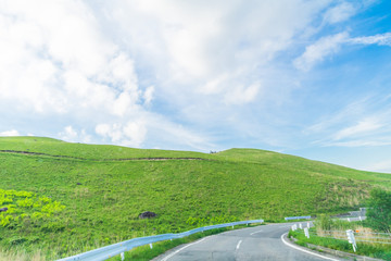 Fototapeta na wymiar Beautiful landscape view of a country road and green grass with blue sky background of Utsukushigahara park is one of the most important and popular natural place in Nagano Prefecture , Japan.