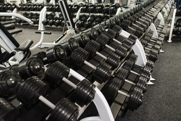 Dumbbells in the gym