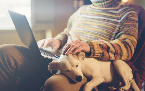 Maximize Your Earnings: Top Dog Blogs That Make Money