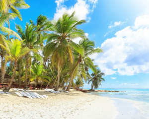 Vacation in Dominican Republic