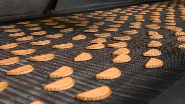Cookies on a conveyor in a confectionery factory oven. Freshly baked shortbread cookies leave the oven. Production line of baking cookies. Conveyor with cookies.