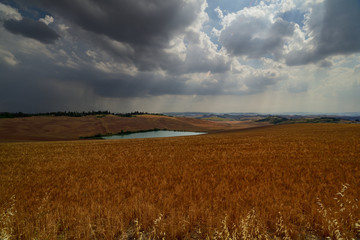 Tuscan panorama 