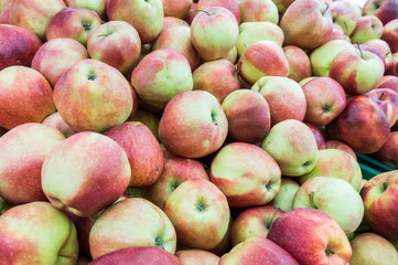 ripe apples on the market