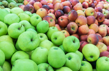 ripe apples on the market