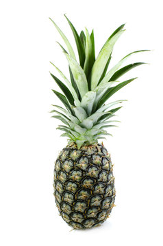 pineapple isolate on white background