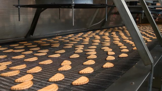 Cookies on a conveyor in a confectionery factory oven. Freshly baked shortbread cookies leave the oven.