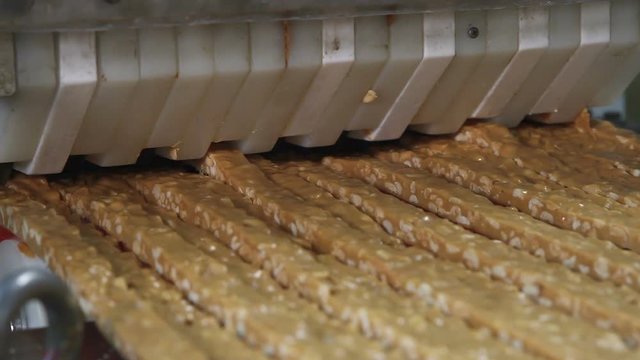 Nougat with nuts of golden color on the conveyor in a confectionery factory. Cutting a long line of viscous nougat into bars. Bars of nougat with peanuts on the production line of the factory.