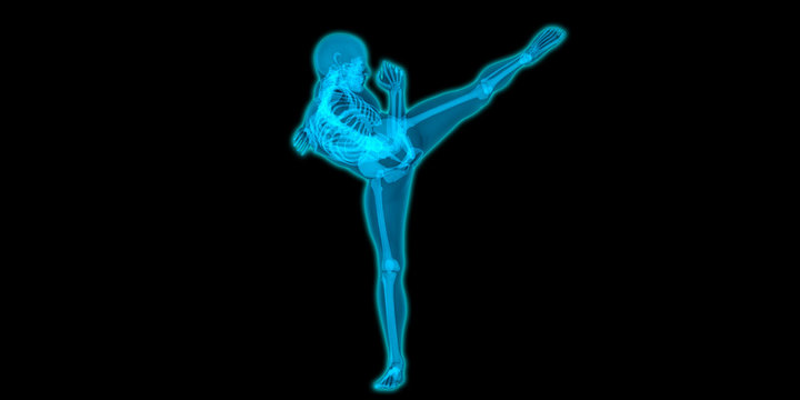 Very detailed and medically accurate 3D illustration of a kicking guy.