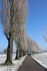 Spaziergang bei der Pappelallee