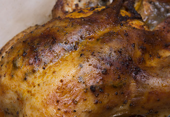 baked spicy chicken closeup