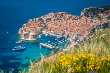 Naklejka premium Old town of Dubrovnik in summer, Dalmatia, Croatia