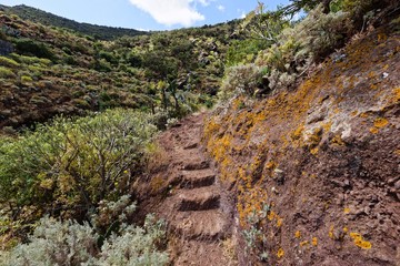 Teneriffa - Wandern im Anaga-Gebirge