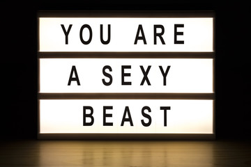 You are a sexy beast light box sign board