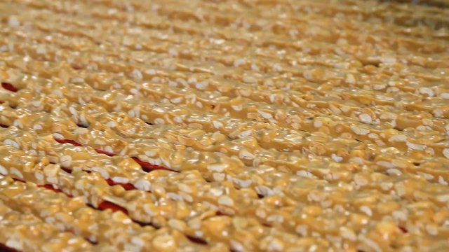 Cutting a long line of viscous nougat into bars. Nougat with nuts of golden color on the conveyor in a confectionery factory. Bars of nougat with peanuts on the production line of the factory.