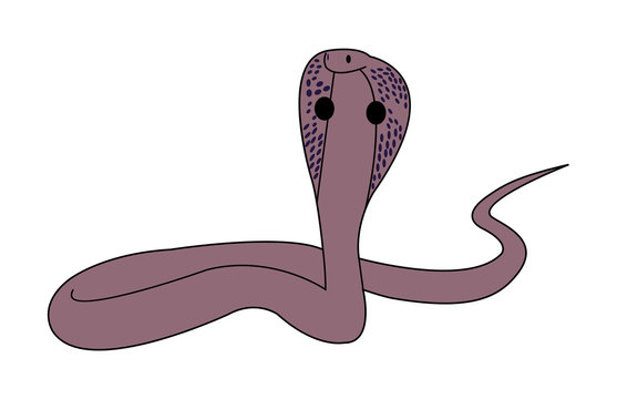 King Cobra snake vector cartoon illustration