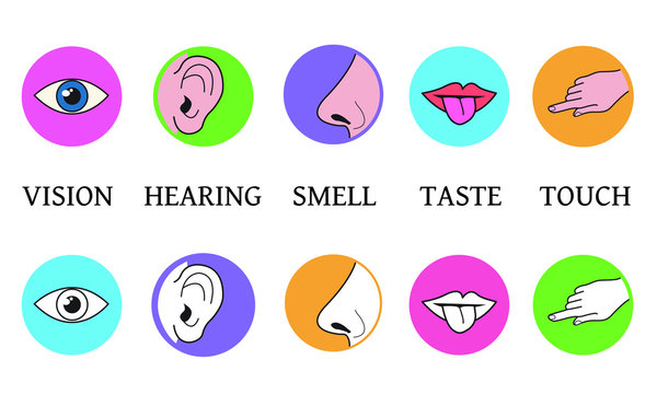 Five senses  methods of perception, taste vision touch smell hearing vector icons in color circles simple black and white outline and colored illustration of mouth with tongue, ear, eye, hand finger, 