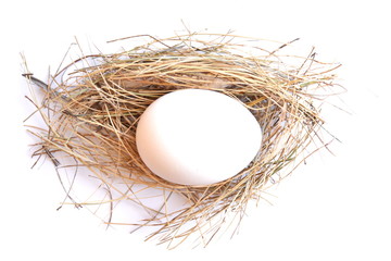 Easter. Orange and white chicken egg in straw nest near box with color ink and painting brush. White background