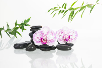 Spa concept with zen stones, orchids and bamboo leaves 