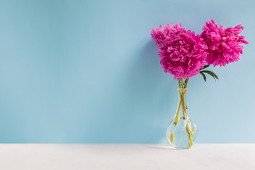 Pink peonies in a vase on a blue background