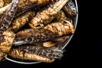 Edible grasshoppers crickets in pot