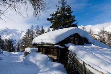 Fototapeta na wymiar Snow carpet over wooden hut above Graechen in Switzerland