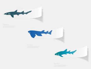 Shark. Flat sticker with shadow on white background